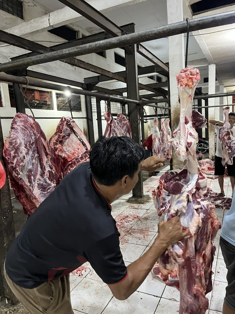 RPH kandang ternak andharma dwi nusantara