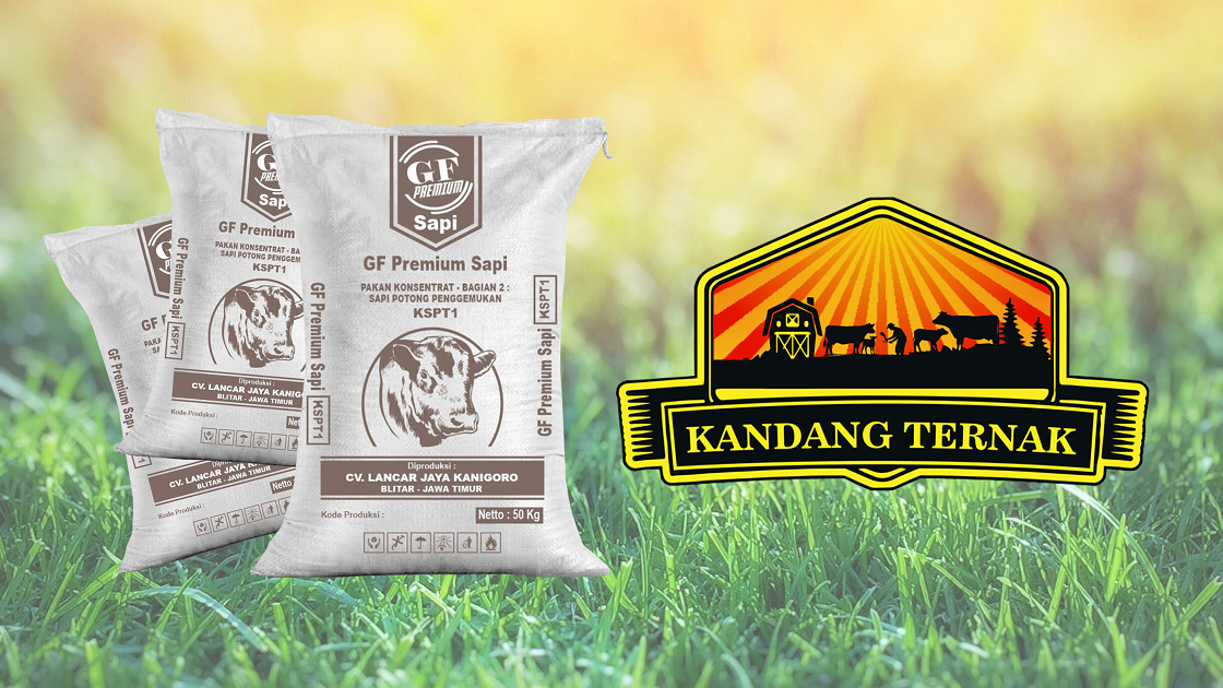 konsentrat gf premium