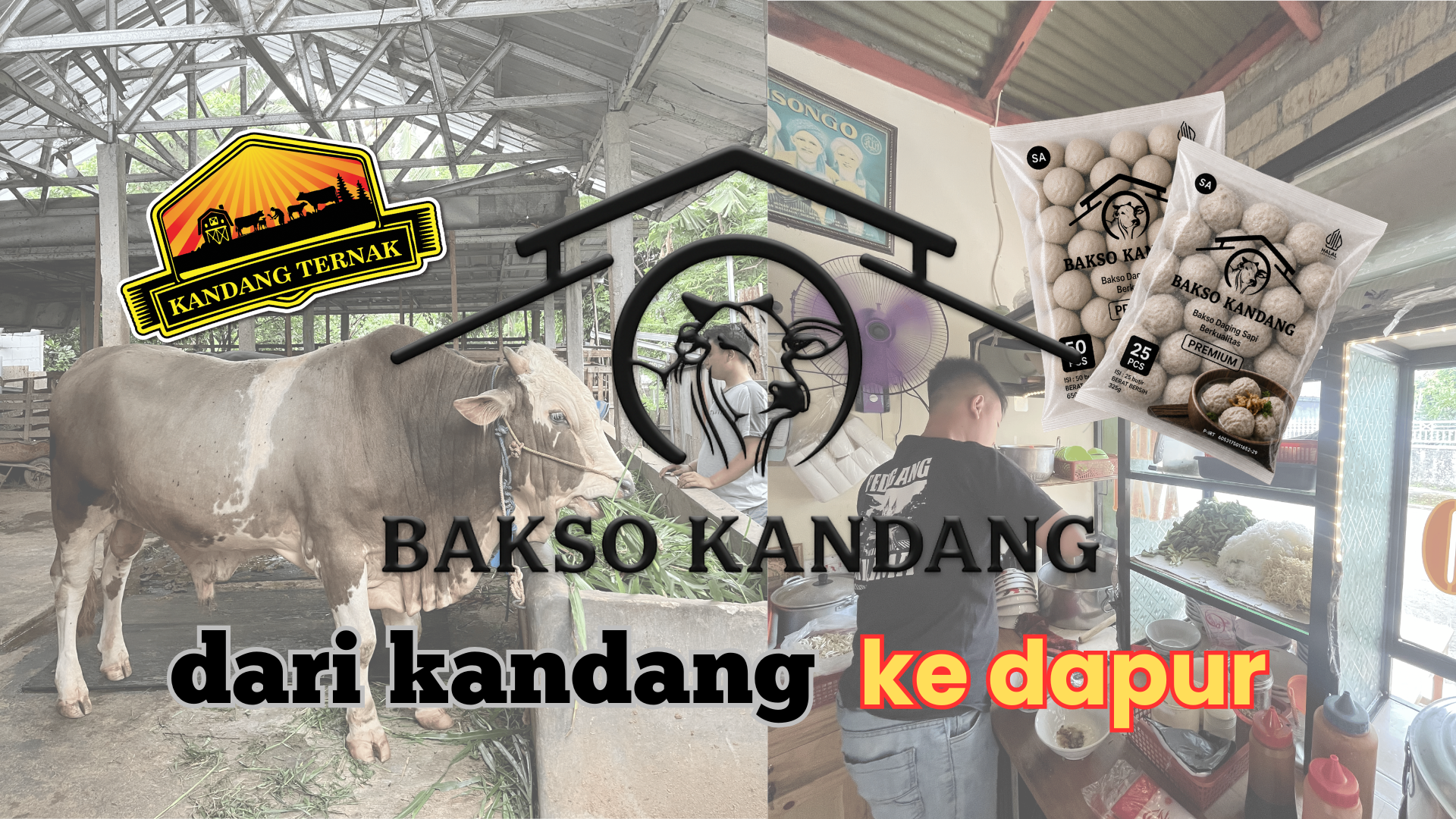 dari kandang ke dapur