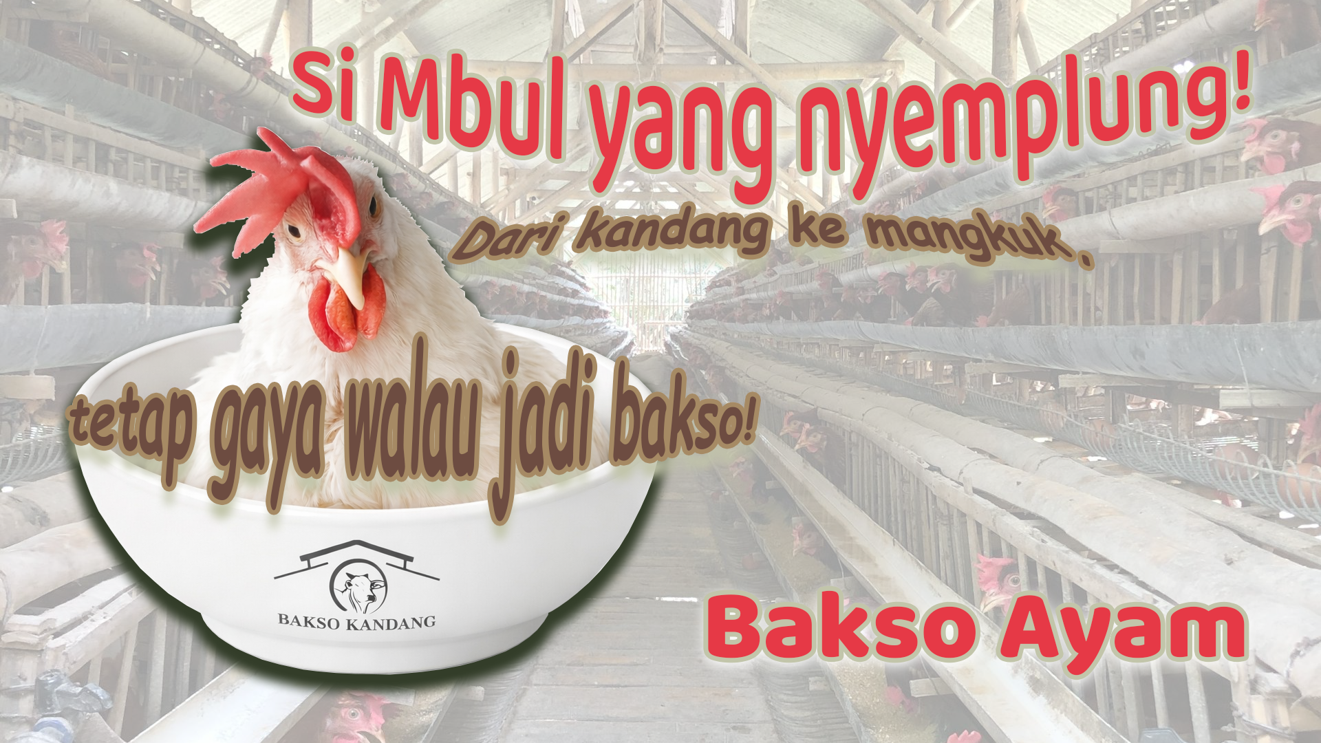 bakso ayam