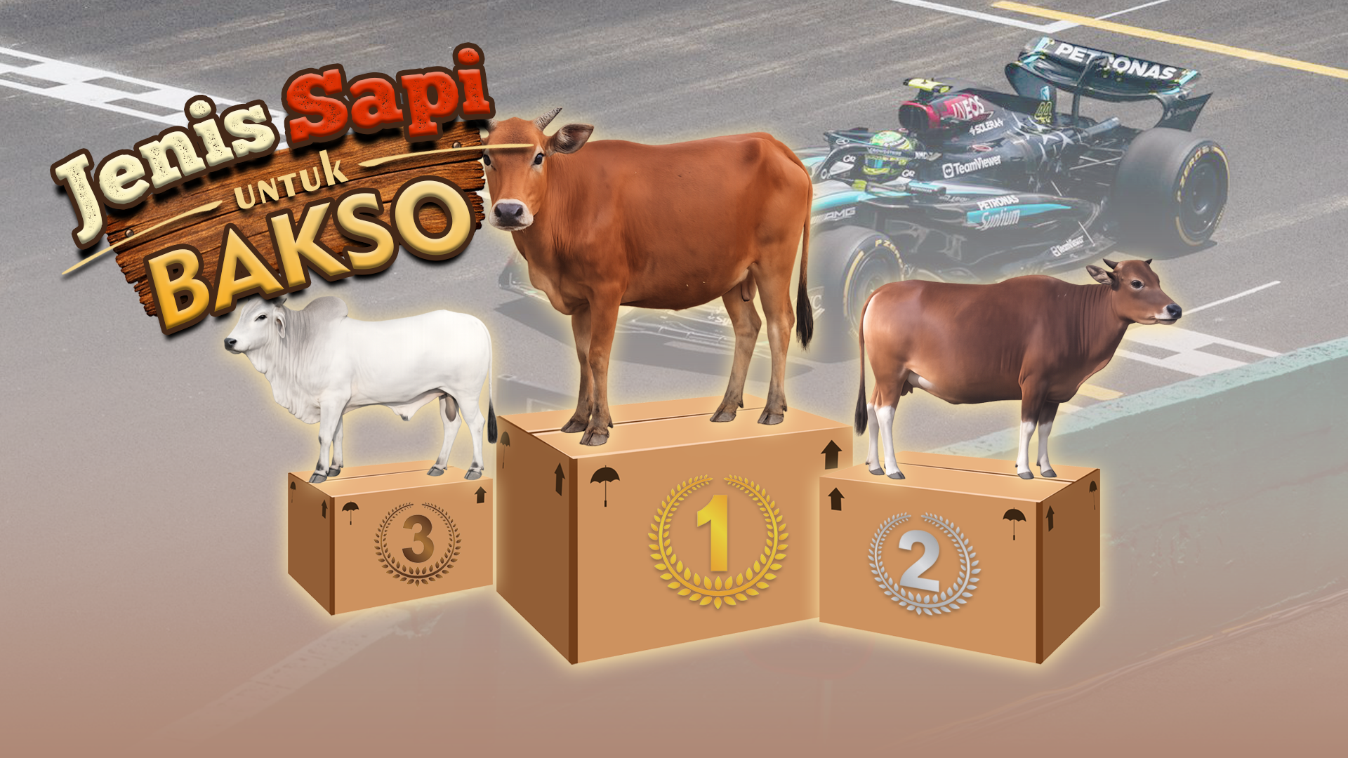 jenis sapi untuk bakso